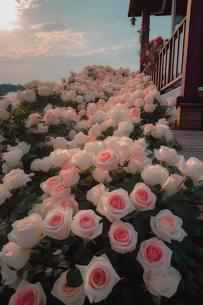 An der Seite eines generativen Hauses wachsen viele rosa Rosen