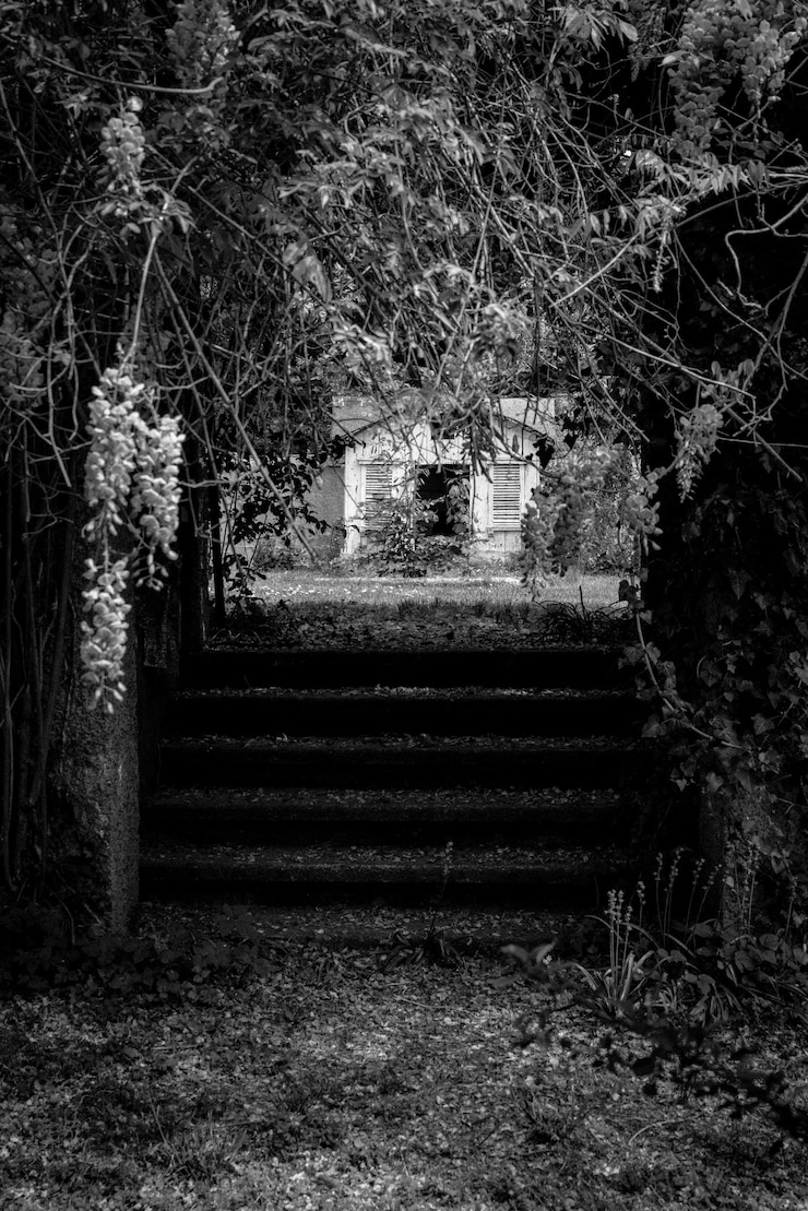 Foto an einer bank in einem park