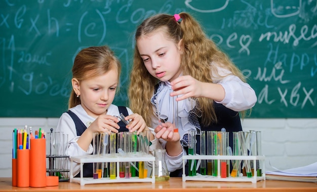 Análise química e reação de observação Equipamento escolar para laboratório Meninas na aula de química escolar Parceiros de laboratório escolar Crianças ocupadas com experimentos Tubos de ensaio com substâncias coloridas