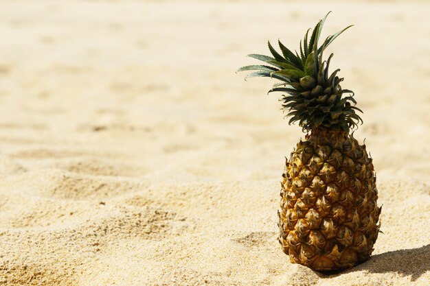 Ananas am Strand