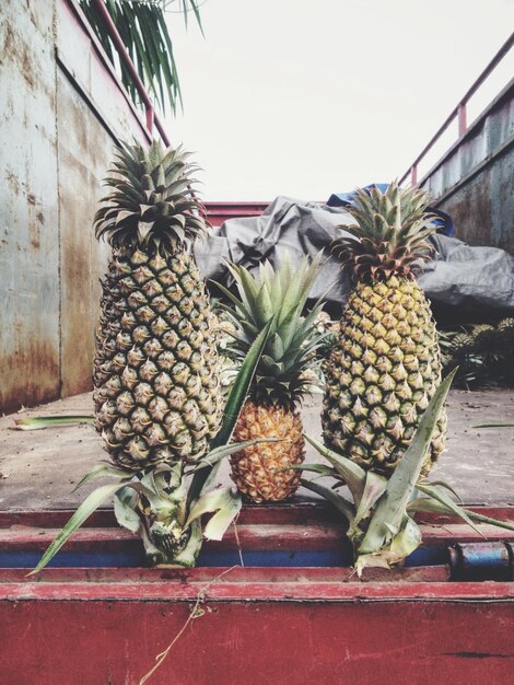 Ananas auf Metall zum Verkauf