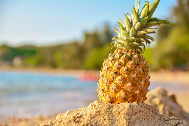 Ananas auf Strand- und Seeansichthintergrund