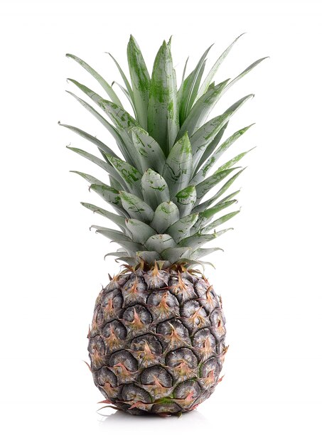 Ananas auf weißem Raum