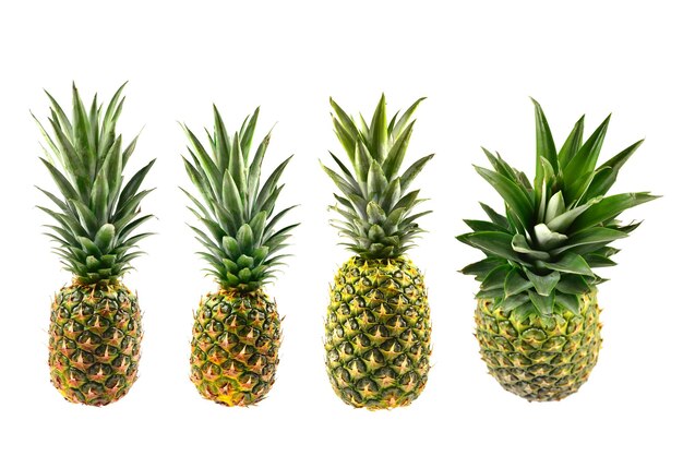 Ananas getrennt auf Weiß