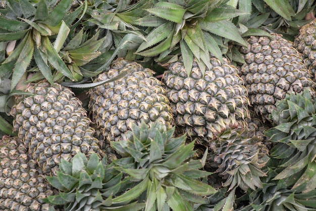 Ananas in einem Gemüse- und Obstmarkt.