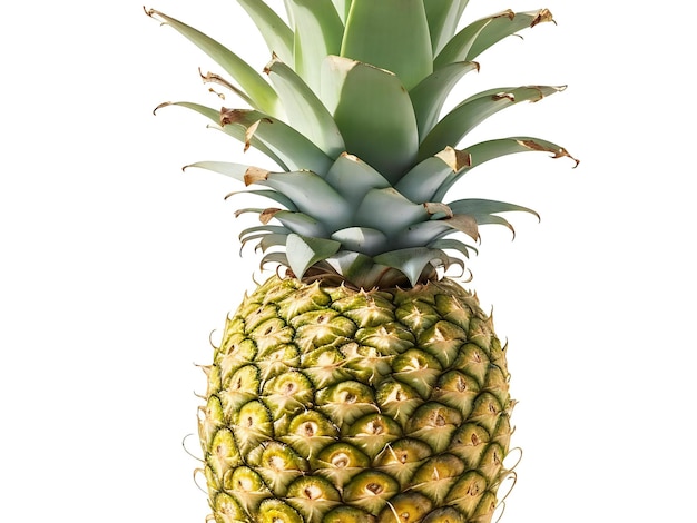 Ananas isoliert auf weißem Hintergrund, ai generiert