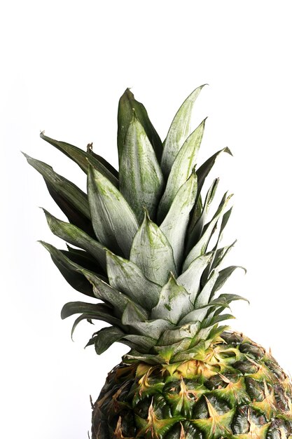 Ananas isoliert auf weißem Hintergrund Saft Bio