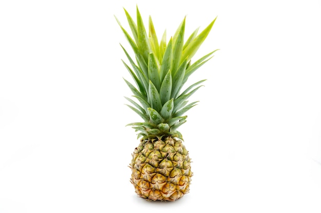 Ananas isoliert auf weißem Hintergrund