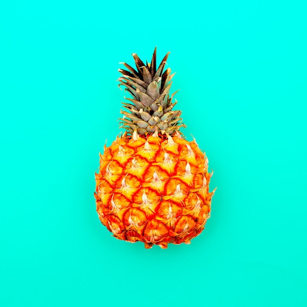 Ananas Minimal Art Style