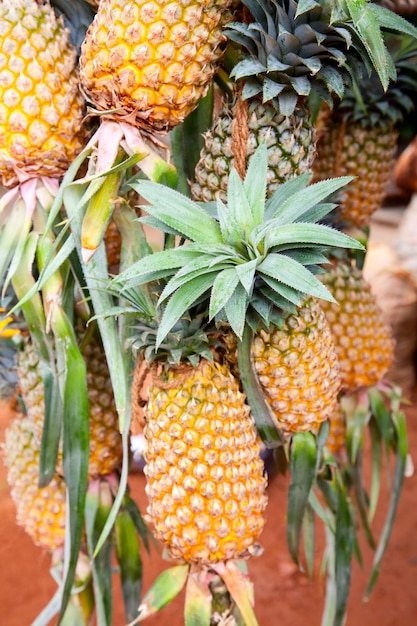 Ananas