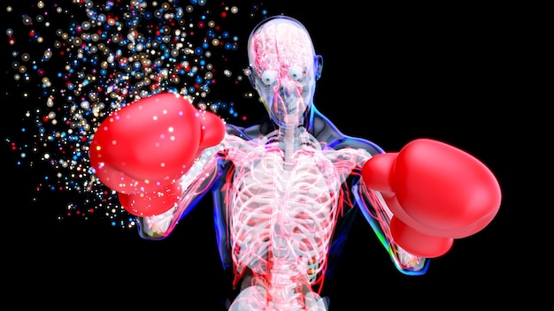 Anatomía 3D abstracta de un hombre boxeando