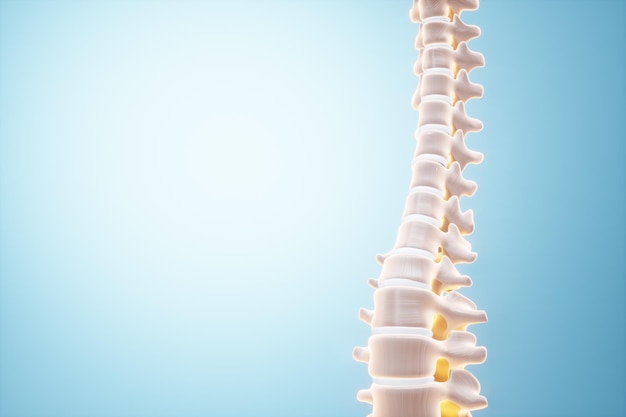 Anatomia de pôster médico da coluna vertebral humana, a imagem dos ossos. Artrite, inflamação, saúde ortopédica, fratura, cartilagem, . Copie o espaço, ilustração 3D, renderização 3D.