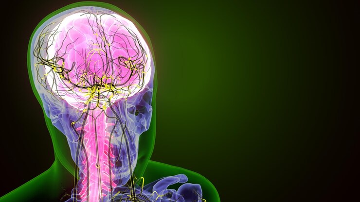 Foto anatomia do cérebro humano renderização 3d