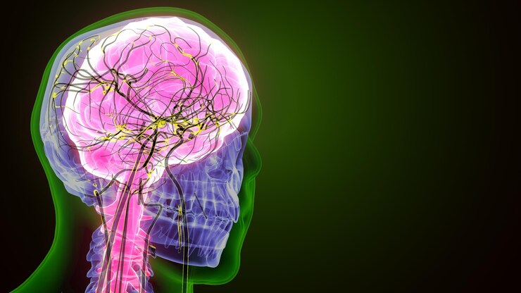 Foto anatomia do cérebro humano renderização 3d