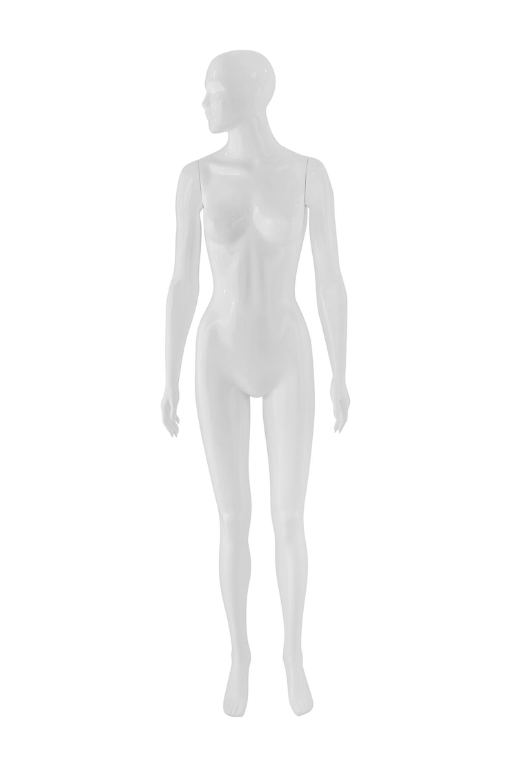 Foto anatomía humana contra un fondo blanco