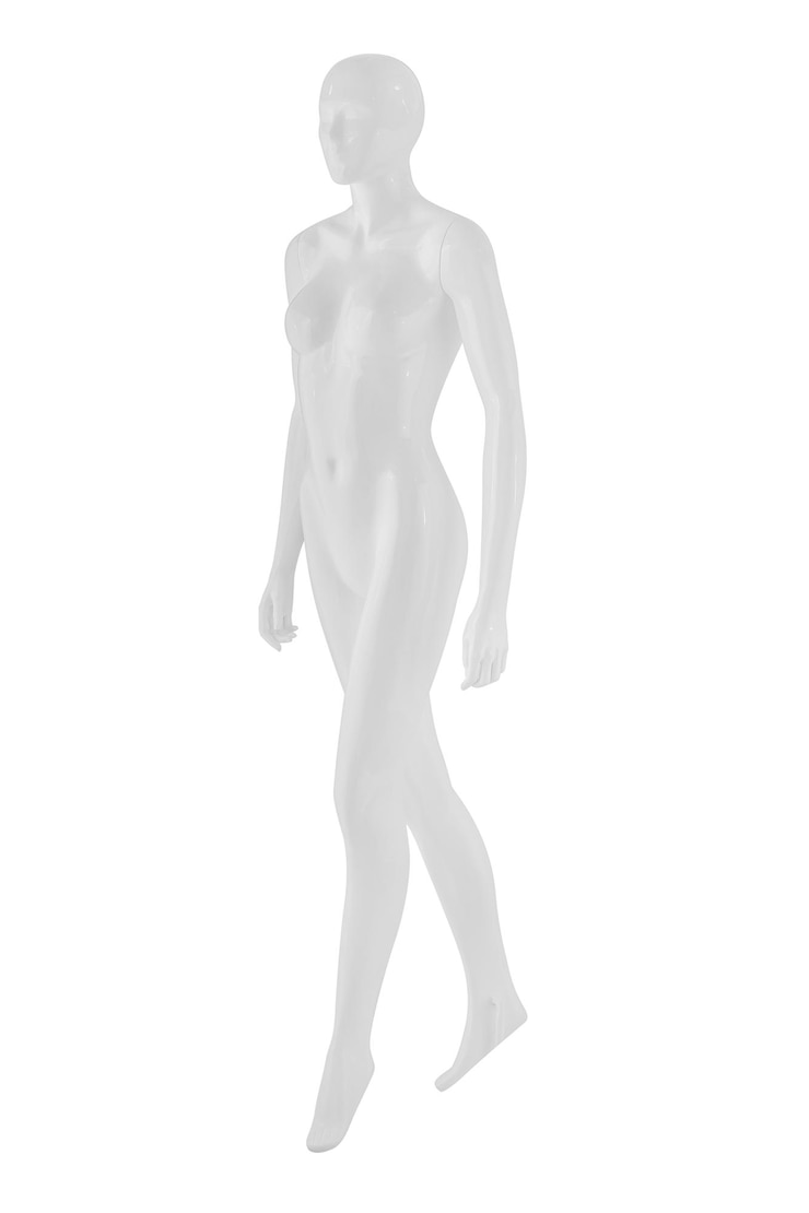 Foto anatomia humana em fundo branco