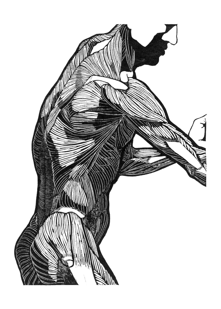 Foto anatomia humana png com músculos laterais e braços do homem remixados de obras de arte de reijer stolk