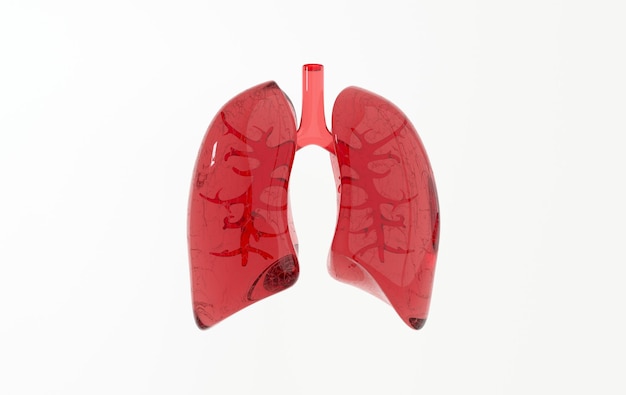 Anatomiekonzept des menschlichen Atmungssystems Gesunde Lunge Welttuberkulosetag Tag des Lungenkrebses