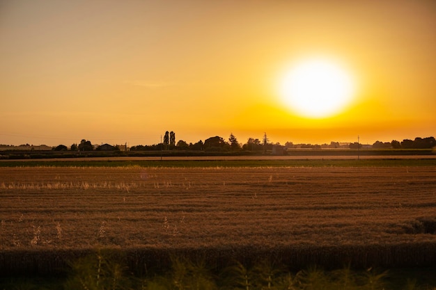 Anbaufeld Sonnenuntergang orange