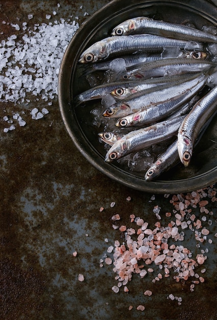 Foto anchovas frescas crus, peixes