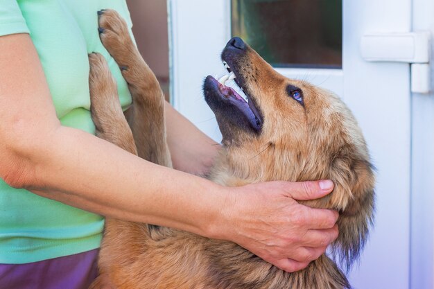 Una anciana abrazando a un perro que está parado sobre sus patas traseras y se acerca a ella.