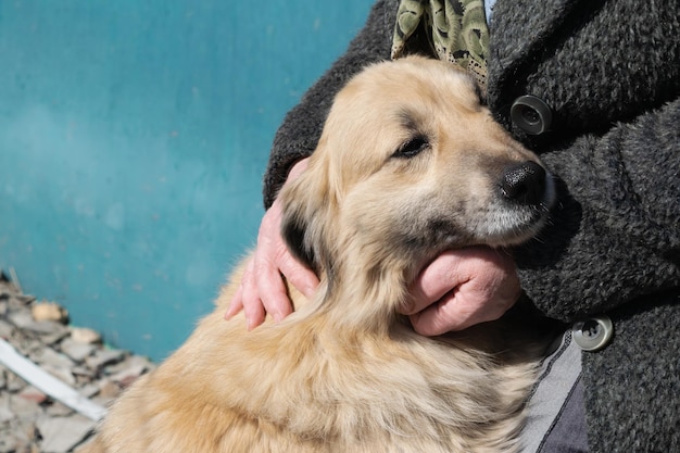 Anciana abrazando a un perro de un refugio de animales El concepto de cuidar a los animales sin hogar