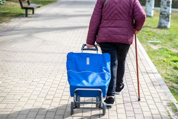 Anciana empujando la cesta con ruedas de camino al mercado