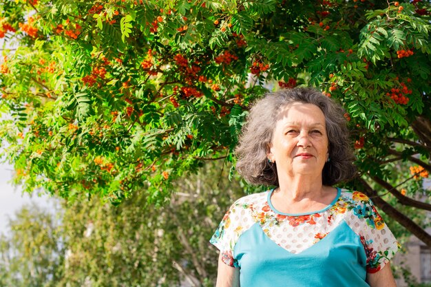 Una anciana se encuentra en el contexto de frutos de serbal en los rayos del sol en un cálido. Una mujer caucásica madura con cabello gris rizado se encuentra cerca de un árbol y mira a lo lejos