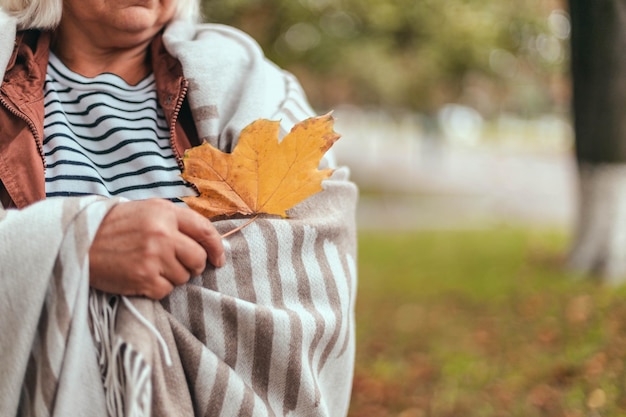 Anciana mano sujetando la hoja de arce otoño