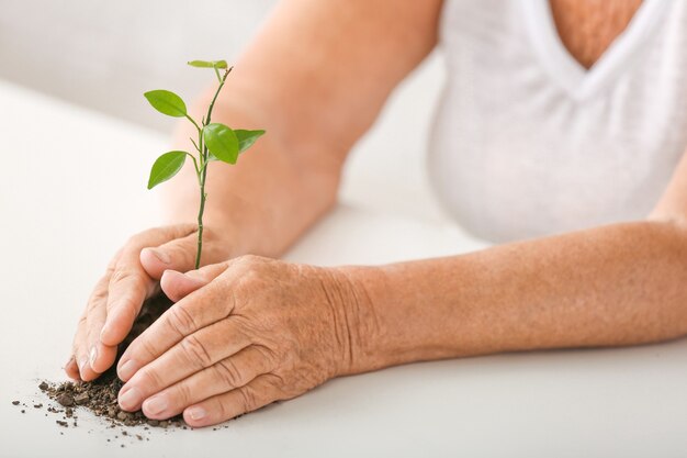 Anciana con planta verde joven, primer plano