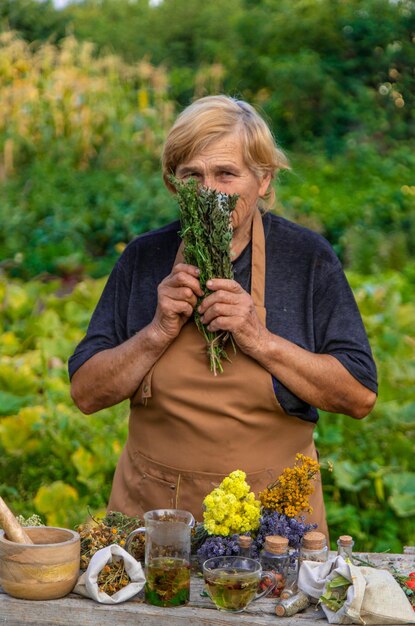 Una anciana sostiene hierbas medicinales en sus manos enfoque selectivo