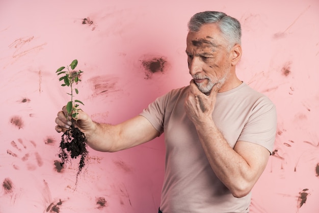 Anciano examina la planta