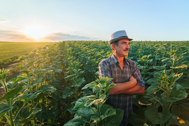 Un anciano granjero hispano con un distinguido bigote toma un momento de descanso sereno tomando el sol en