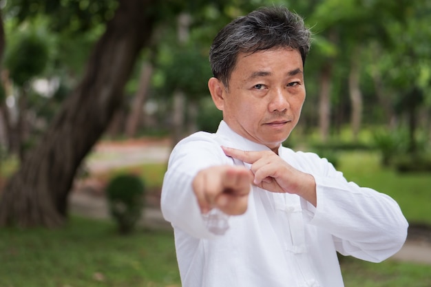 Anciano practicando kungfu o tai chi en el concepto de ejercicio de meditación de estilo de vida saludable del parque