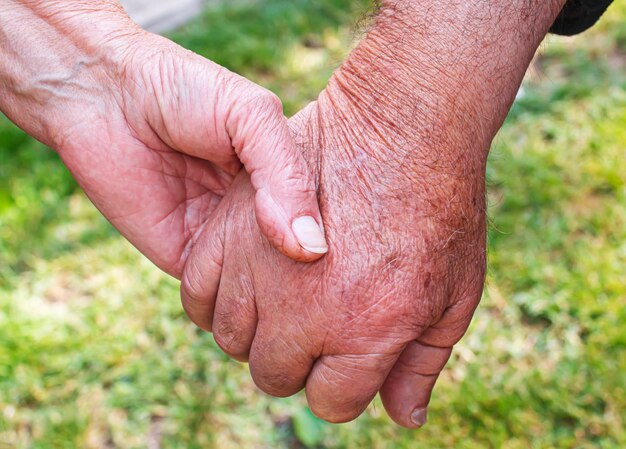 Anciano sosteniendo las manos de los niños personas de enfoque selectivo