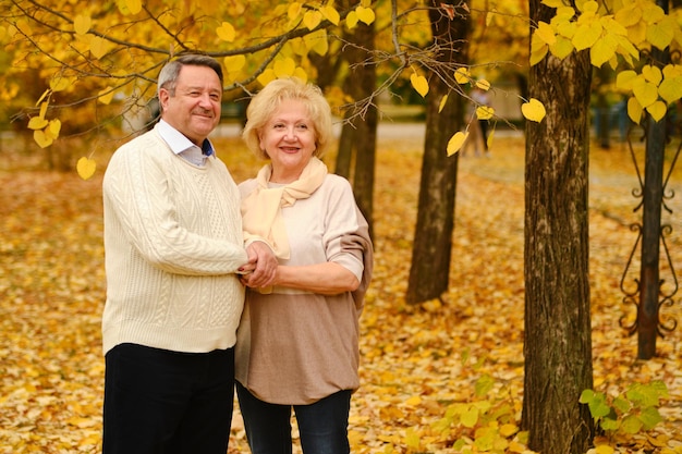 Ancianos activos en un paseo por el bosque