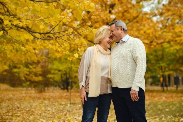 Ancianos activos en un paseo por el bosque