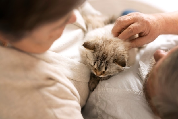 Ancianos de alto ángulo con gato