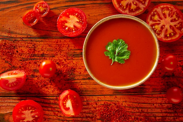 Andalusische Gazpacho-Tomatensauce in Rot