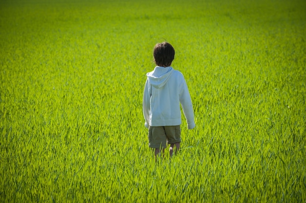 Andando criança no campo de grama amarela verde