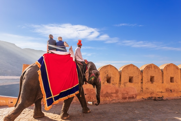 Andando em elefantes, famosa atração turística em amber fort de jaipur, índia.