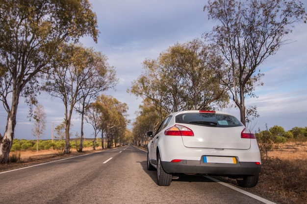 Andando no meu carro na bela paisagem.