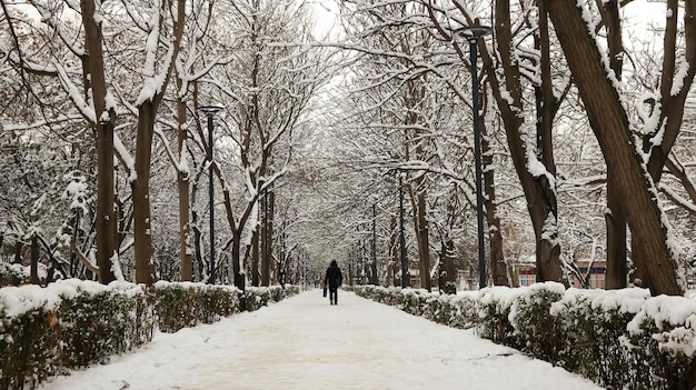 Andando sozinho em tempo de neve onde tudo é branco