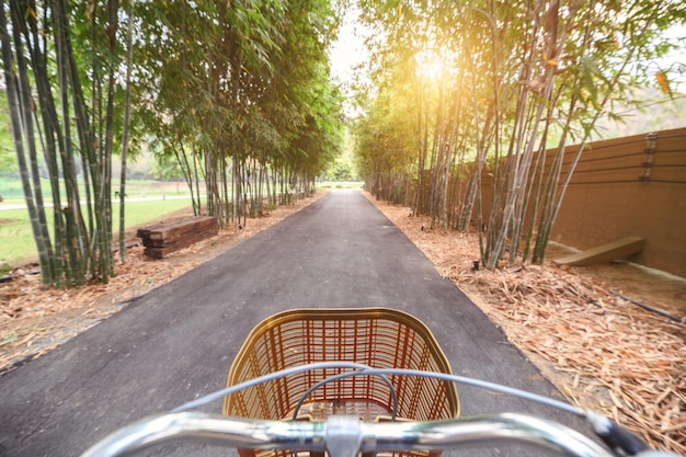 Andar de bicicleta retrô na floresta de bambu com luz solar