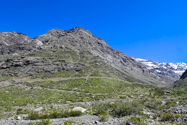 Foto anden im sommer mit wenig schnee