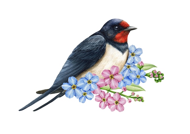 Andorinha pássaro com flores do esquecimento Ilustração de aquarela Andorinha desenhada à mão