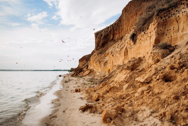 Foto andorinhas voam sobre a praia perto de ninhos em encostas de argila