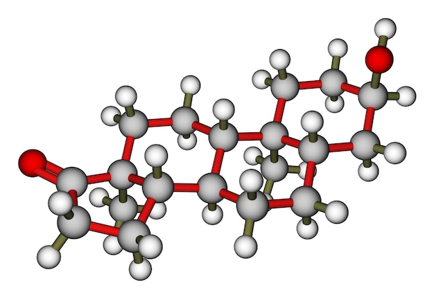 Androsteron ein molekulares Modell des männlichen Sexualhormons