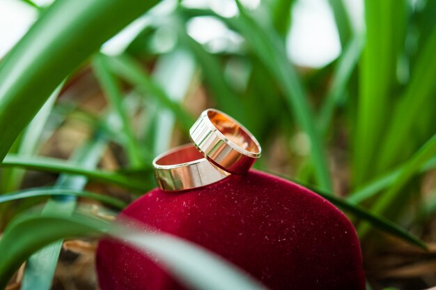 Foto anéis de casamento bonitos, para o feriado