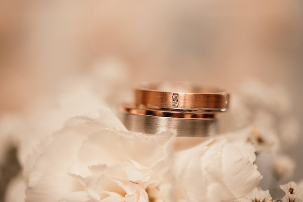 Anéis de casamento de ouro Atributos de símbolos de casamento Celebração de férias Conceito detalhes do casamento Família feliz Juntos marr